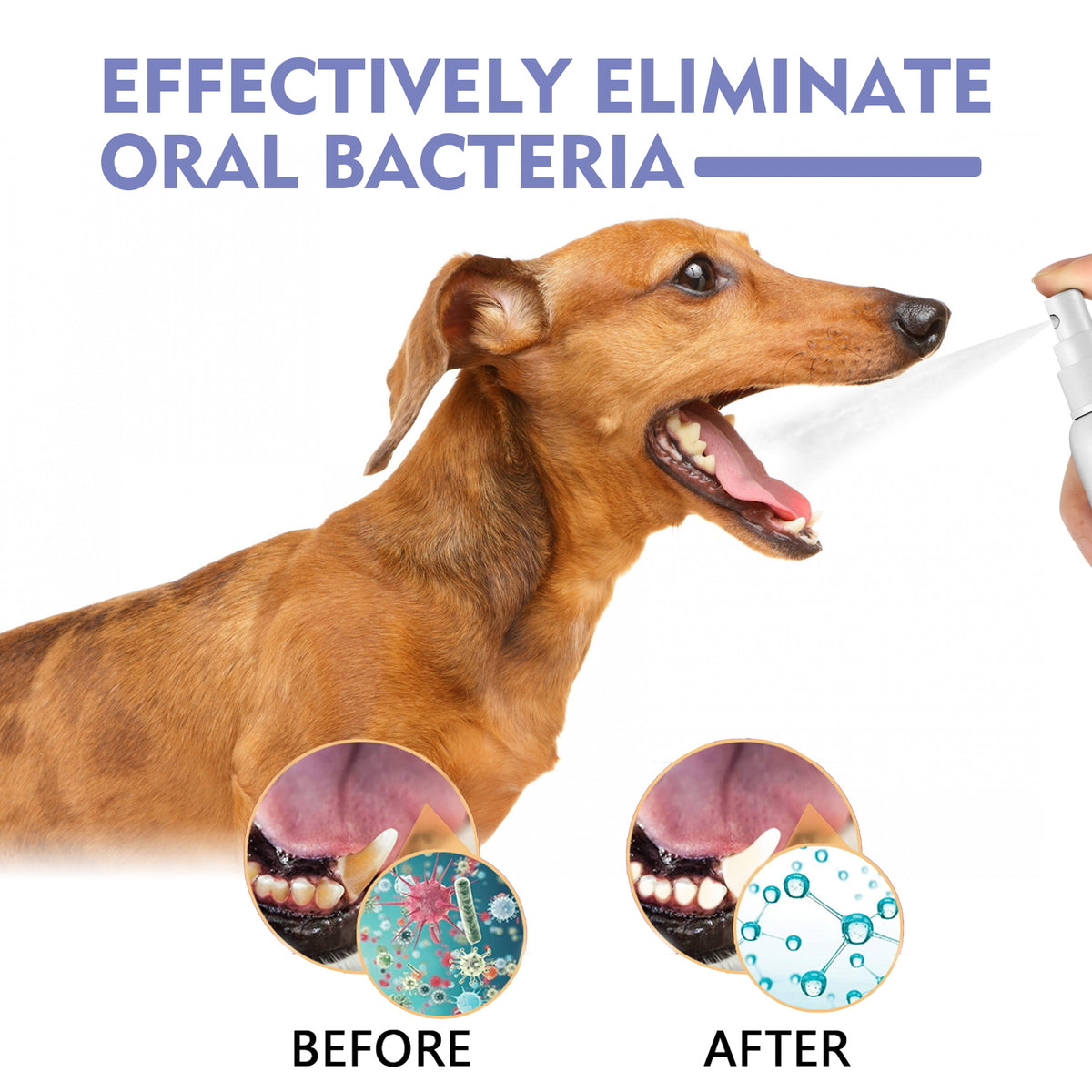Spray Dental para Cães e Gatos – Hálito Fresco Sem Escovar