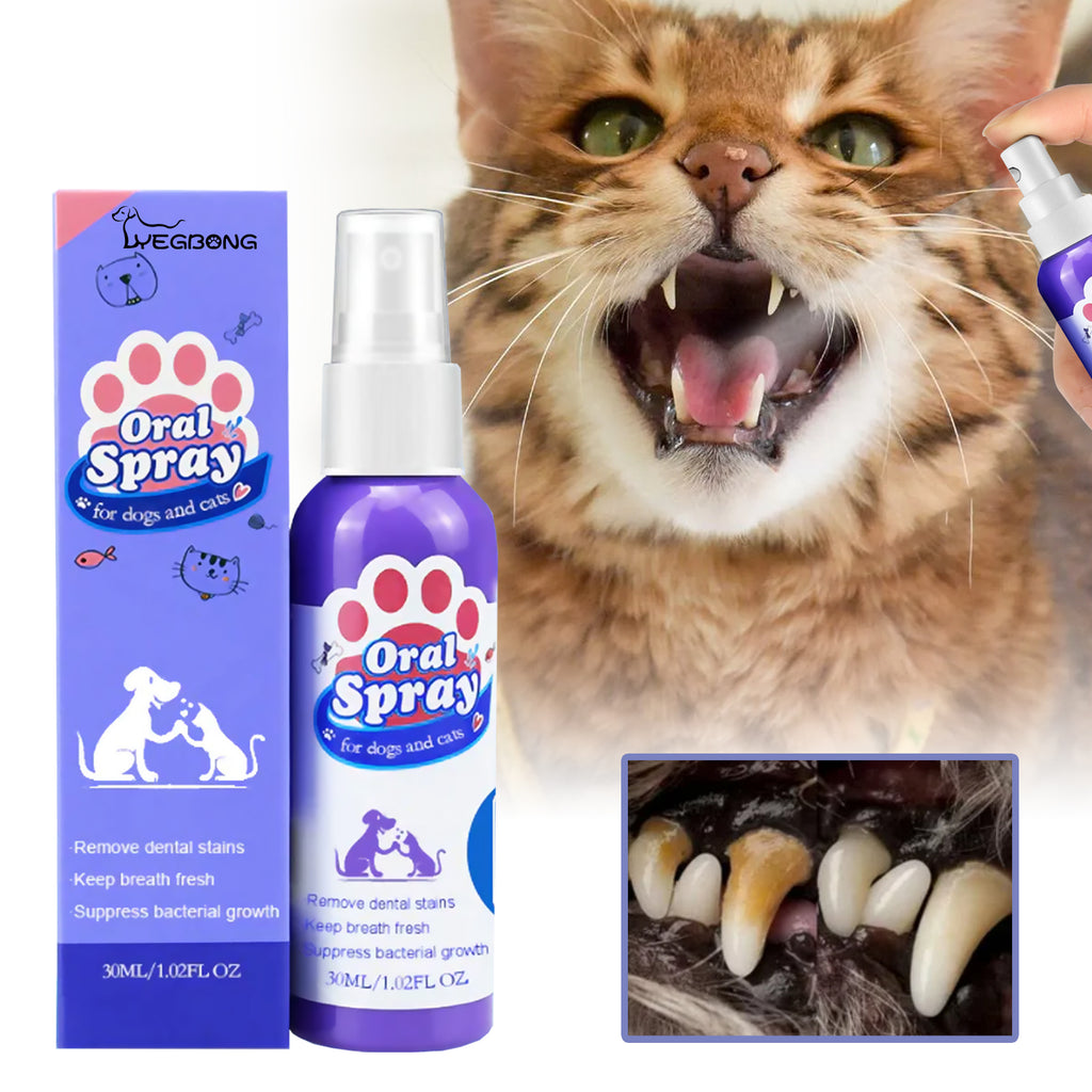 Spray Dental para Cães e Gatos – Hálito Fresco Sem Escovar
